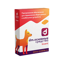 Программа Data Mobile для ТСД. DM INVENT и DM ТОИР